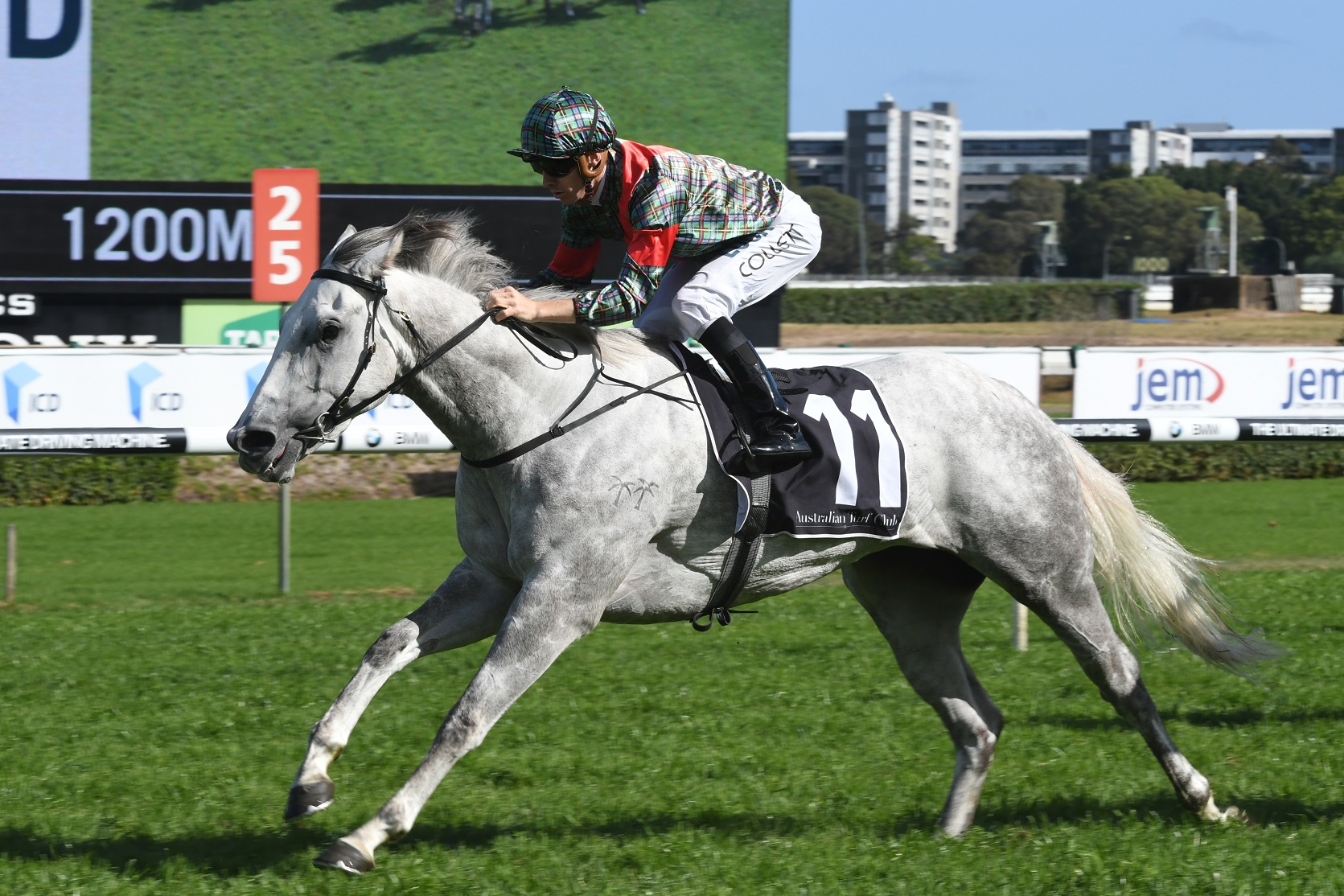 White Moss wins the Gr.3 Nivison Stakes at Randwick.